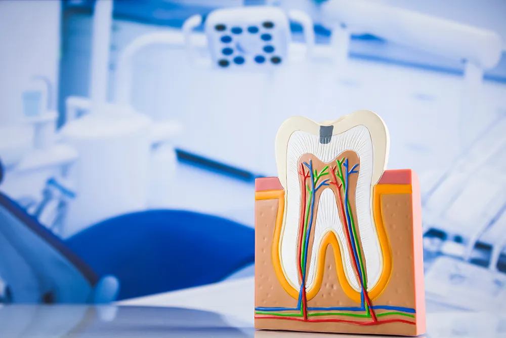 Moderne Technik und sanfte Methoden